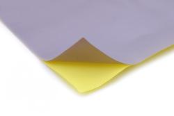 PTFE Sheet - Skived