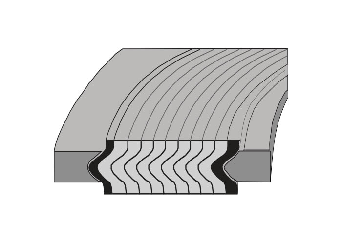 Style CGI spiral wound gaskets illustration